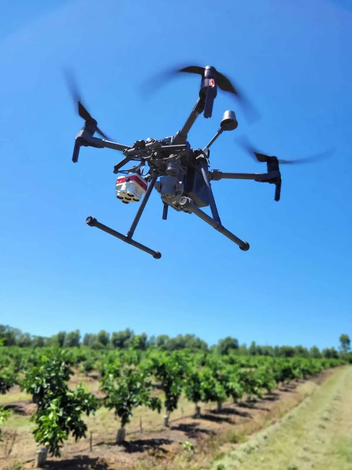 When AI Meets Agriculture: A New Way For Growers to See Their Orchards