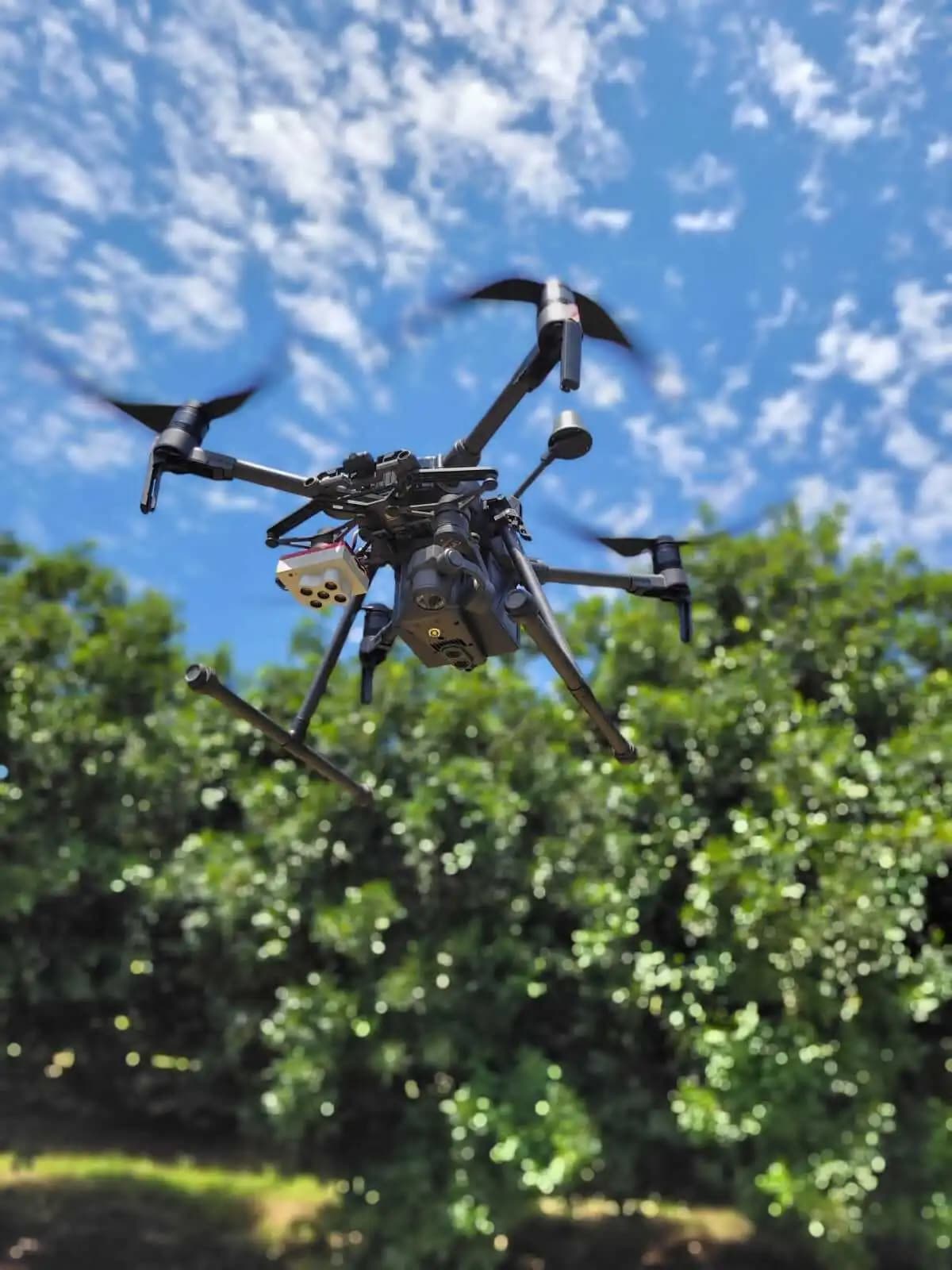 When AI Meets Agriculture: A New Way For Growers to See Their Orchards